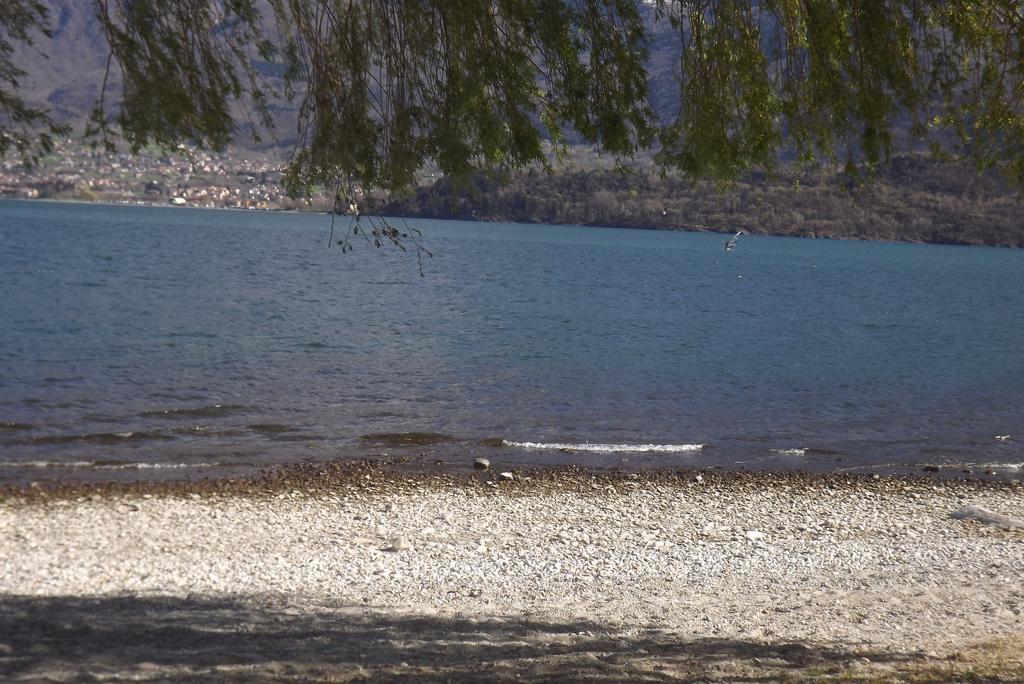 Tuschaus Konuk evi Domaso Dış mekan fotoğraf